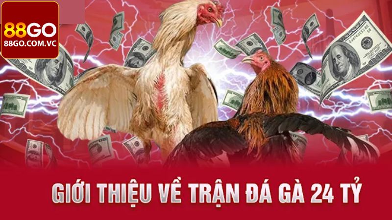 Trận Gà 24 Tỷ - Tường Thuật Cuộc Đấu Chấn Động Toàn Cầu 2 Đôi nét giới thiệu về cuộc chiến kinh điển