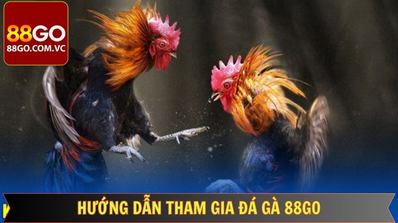 Hướng dẫn tân thủ tham gia cá cược Đá gà 88GO