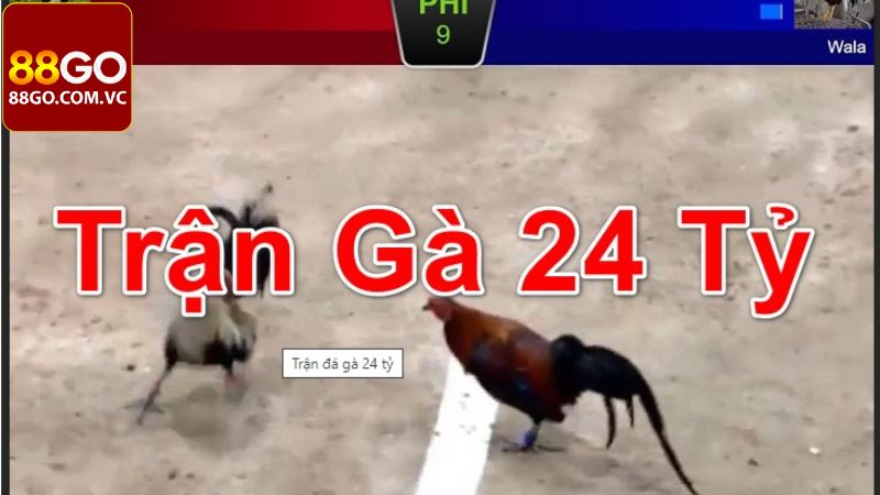 Trận Gà 24 Tỷ - Tường Thuật Cuộc Đấu Chấn Động Toàn Cầu 4 Cập nhật kết quả trận gà 24 tỷ