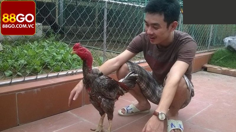 Những thông tin chi tiết về huyền thoại Xám messi