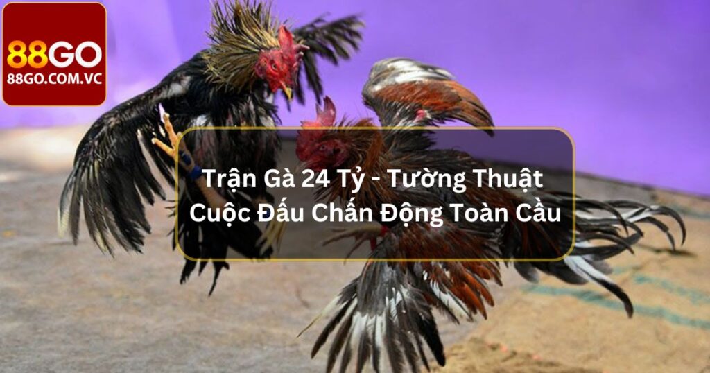 Trận Gà 24 Tỷ - Tường Thuật Cuộc Đấu Chấn Động Toàn Cầu