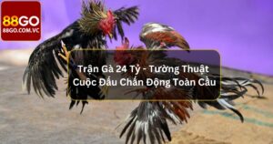 Trận Gà 24 Tỷ - Tường Thuật Cuộc Đấu Chấn Động Toàn Cầu