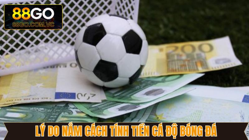 Những lý do người dùng nên nắm rõ công thức